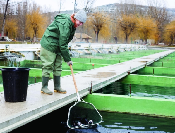 Aquaculture