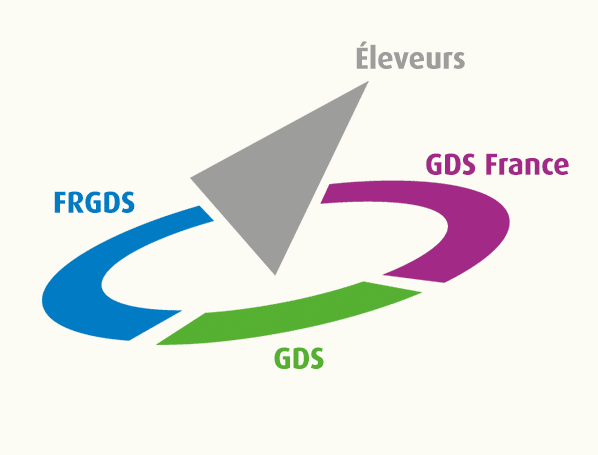 Nos orientations stratégiques