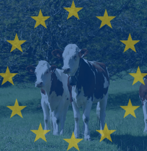 europe ruminants