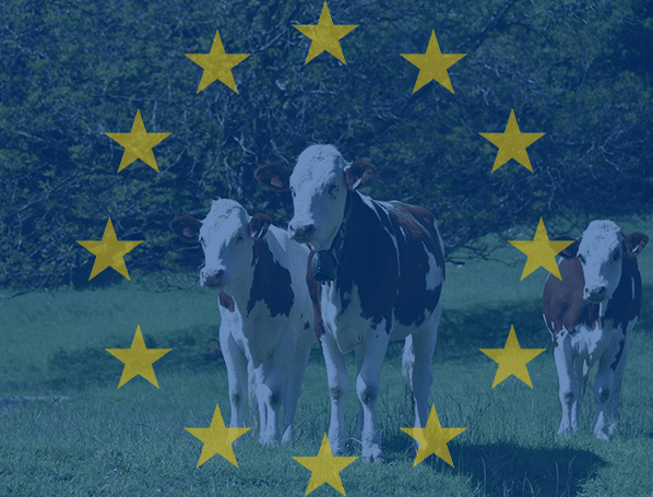 europe ruminants